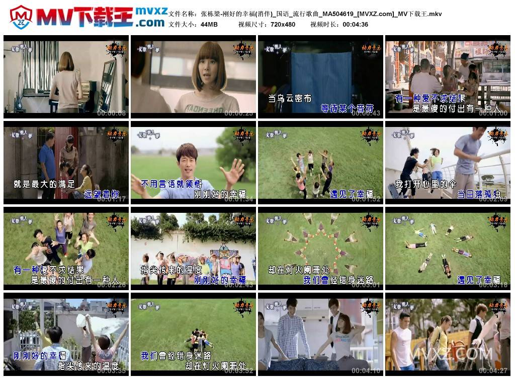 张栋梁-刚好的幸福(消伴)_国语_流行歌曲_MA504619